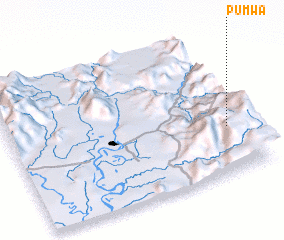 3d view of Pumwa