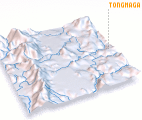 3d view of Tongma Ga