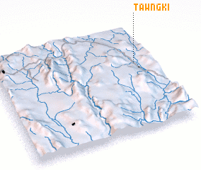 3d view of Tawngki