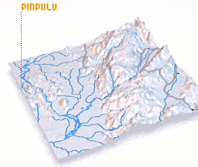 3d view of Pinpulu