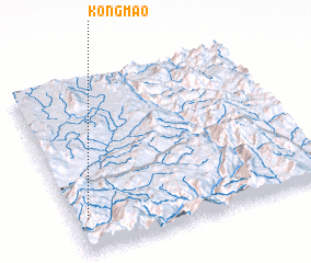 3d view of Kongmao