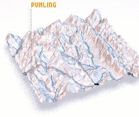 3d view of Pumling