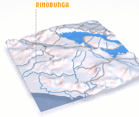 3d view of Rimobunga