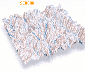 3d view of Sengnai