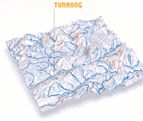 3d view of Tünmöng