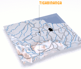 3d view of Tigabinanga