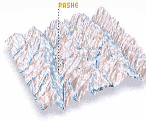 3d view of Pashe