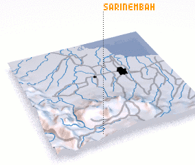 3d view of Sarinembah