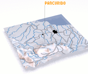 3d view of Pancurido