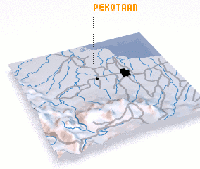 3d view of Pekotaan