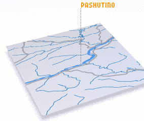 3d view of Pashutino