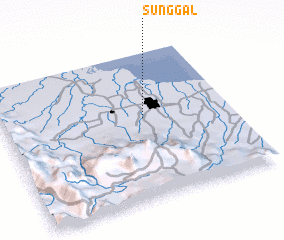 3d view of Sunggal