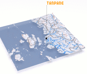 3d view of Tanpane