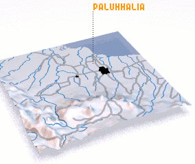 3d view of Paluhhalia