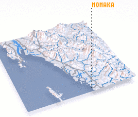 3d view of Momaka