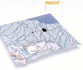 3d view of Percut