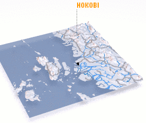 3d view of Hokobi
