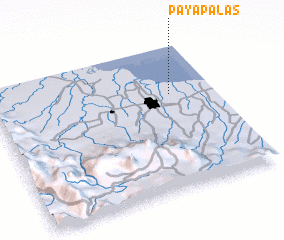 3d view of Payapalas