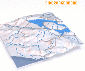 3d view of Siborongborong