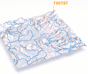 3d view of Toktat