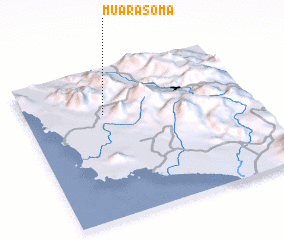 3d view of Muarasoma