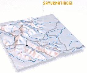 3d view of Sayurmatinggi