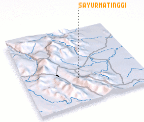 3d view of Sayurmatinggi