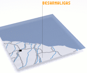 3d view of Besarmaligas