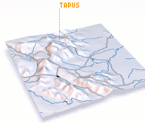 3d view of Tapus
