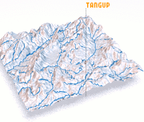 3d view of Tangup