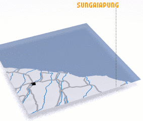 3d view of Sungaiapung