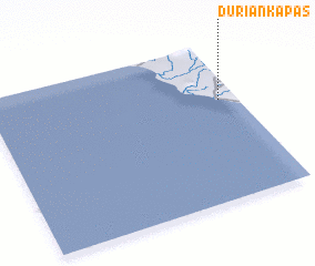 3d view of Duriankapas