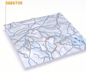 3d view of Nabatum